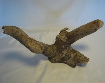 Driftwood Sculpture - Driftwood Art Piece - Special Shape Driftwood
