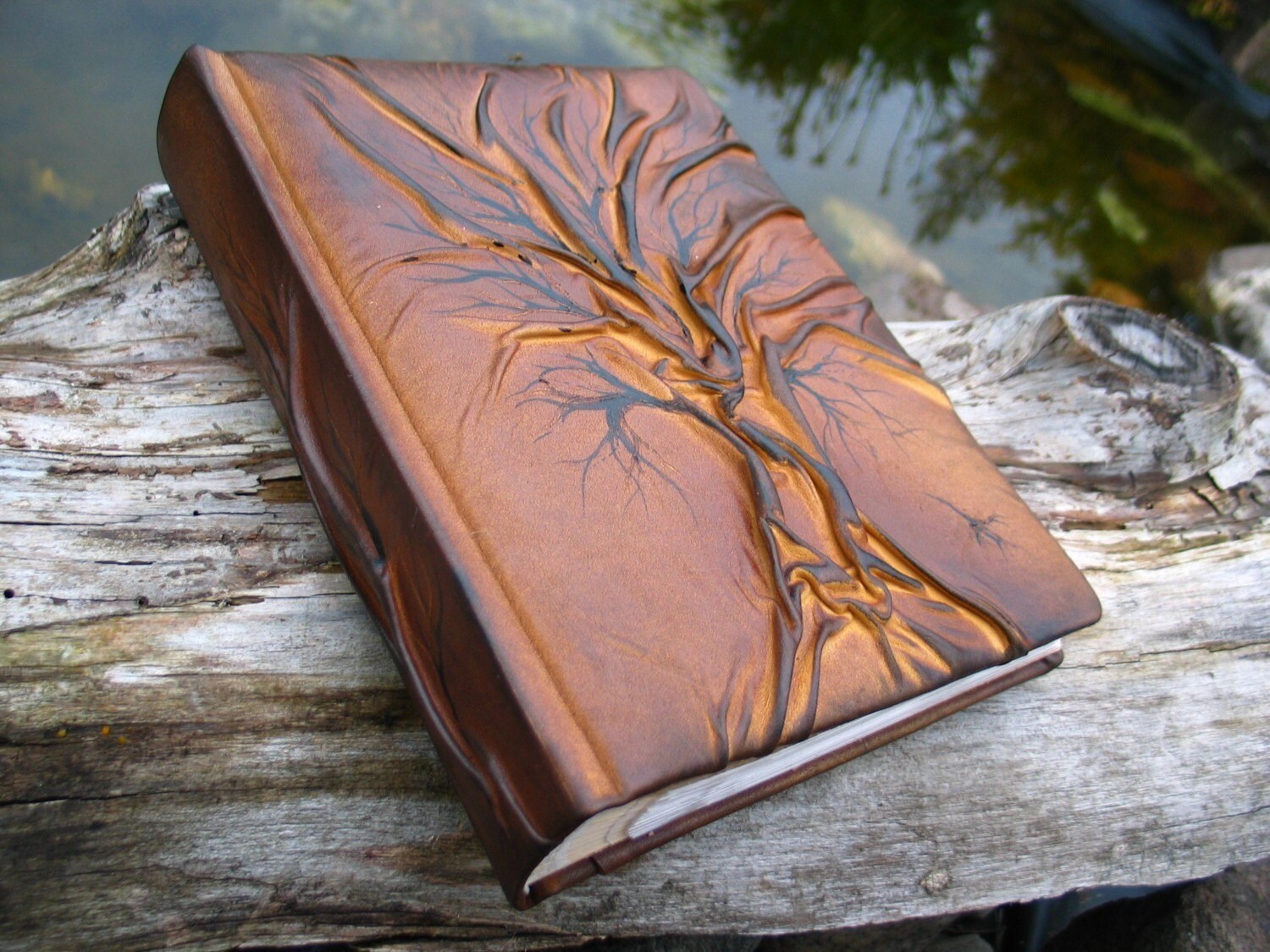 Leather Photo album 10 x 7 1/2 with Tree for 200 photos
