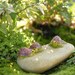 3 tortoise on a rock Terrarium Garden Miniature doll house miniature cake topper