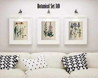 Botanical Print Set of 3, Wildflower Wall Art, Antique Botanical Wall Art, Wildflower Prints, Modern Farmhouse Decor, Housewarming Gift