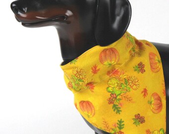 Fall Dog Bandana, Thanksgiving Dog Bandana, Country Chic Dog Scarf, Pumpkin Pet Bandana, Gardener Gifts, Fall Gifts, Gifts For Grandma, Pet