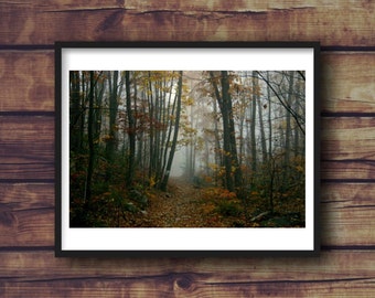 Autumn Hiking Path Fine Art Photograph