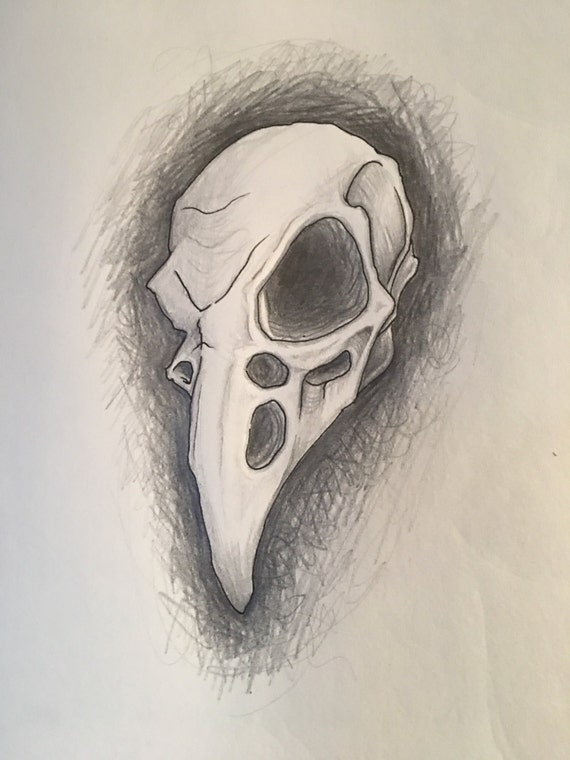 Raven Skull Drawing