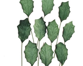 Holly Mulberry Paper Leaves Leaf02