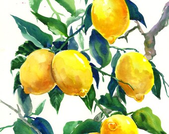 yellow lemon tree