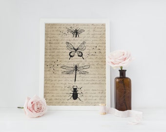 Insect Print, Vintage Art, Wall Decor, Insect Art, Insect Illustration, Cabin Decor, Minimal Wall Art, Insect Wall Art, Shabby Chic Decor.