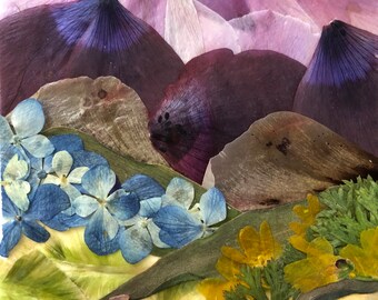 Flower 12.18 Giclee Print 11”w x 14”h