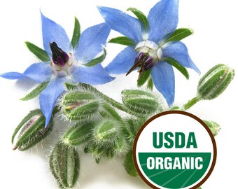 Borage Oil 1 oz. ORGANIC 18% GLA