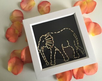 An African Elephant