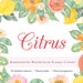 Citrus Hand Painted Lemon Flower Watercolor Clipart Personal Commercial Use peony rose floral wreath garden pink yellow orange pink summer