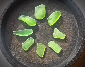 Rare CITRON GREEN Genuine Flawless Sea-Tumbled Sea Glass Jewelry Grade Loose (8)