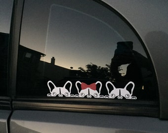 Boston Terrier Window Decal