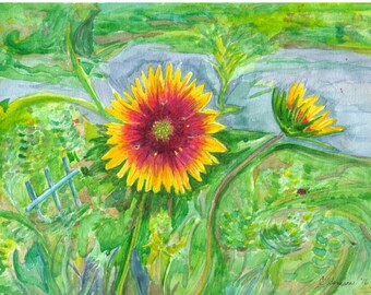 Reproduction (print) "Gaillardias" 5x7 on 8x10 100 lb quality paper
