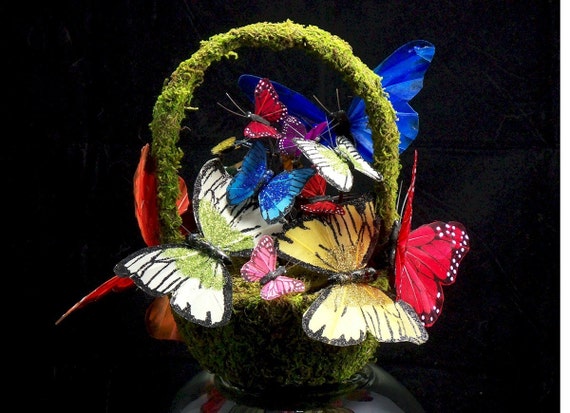 Basket Full of Butterflies