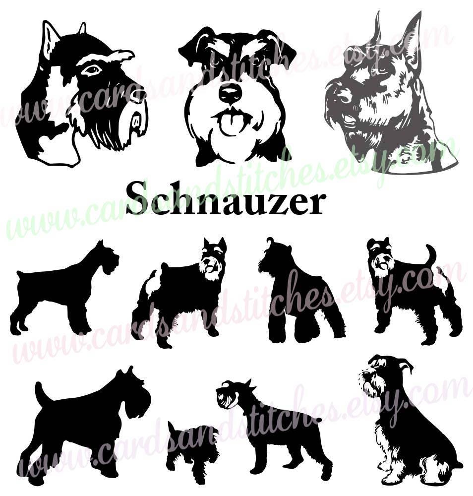 Schnauzer SVG Schnauzer Silhouette Digital Cutting File