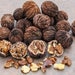 5 Pounds Black Walnuts In-Shell Hulled Raw 2017 Crop Grown Missouri 100+ Nuts - Crafts, Squirrel Food, Snack, Baking and More!