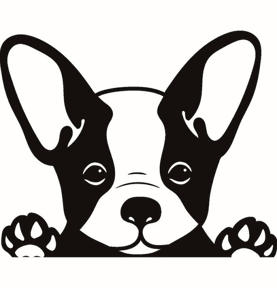 Free Frenchie Svg - 57+ Popular SVG File