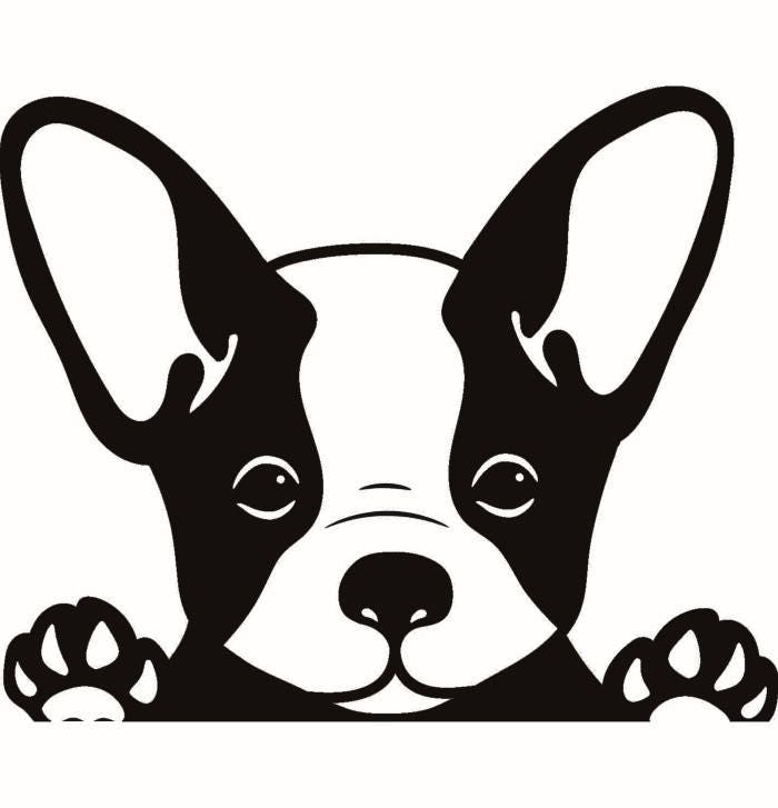 Download French Bulldog #1 Dog Breed K-9 Animal Pet Puppy Paws ...