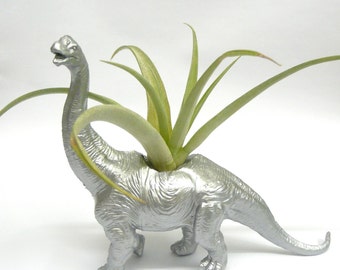 Silver Diplodocus Dinosaur Planter with Air Plant // Coworker Gift // For Her // For Him //
