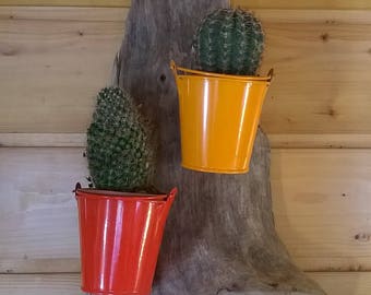 cache pot Driftwood