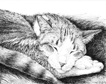 Animal sketches, cat art prints, black and white, pen and ink artwork, original drawing, cat sketch art, sleeping cat, pet illustration