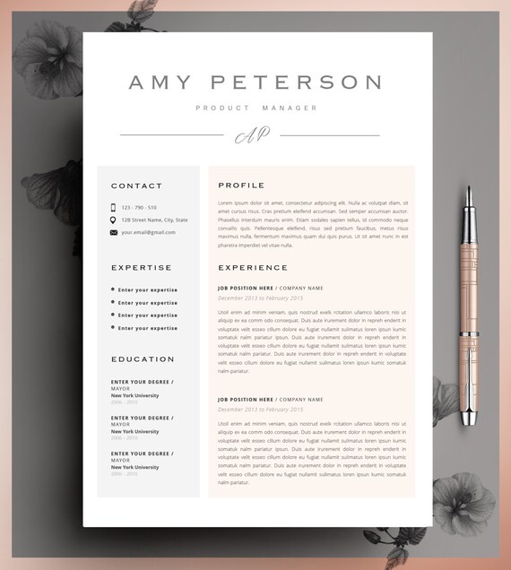 2 curriculum vitae