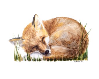 Fox Nursery Art of Original Fox Artwork, Woodland Nursery Baby Room Decor, Baby Fox Nursery, Woodland Animal, Nursery Decor