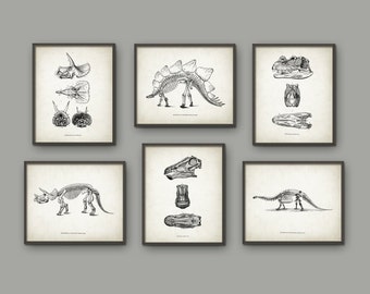 Dinosaur Print Set Of 6 - Dinosaur Skeleton - Prehistoric - Geology Student - Paleontology - Fossil Book Plate Illustration - Boys Bedroom