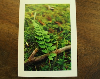 Nature notecard - Tiny Fern