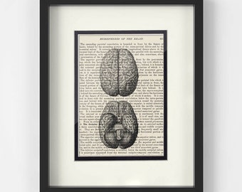 Neurology, Brain Art over Vintage Medical Book Page - Gift for Neurologist, Neurologist Gift, Neuro Nurse, Neuroscience, Neurosurgeon