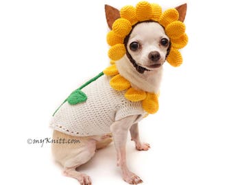 Sunflower Dog Costume, Cute Halloween Costume for Pets, Sun Flower Hair Accessory, Chihuahua Clothes DF94 by Myknitt - Free Shipping
