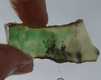 Chrysoprase Lapidary Slab T328