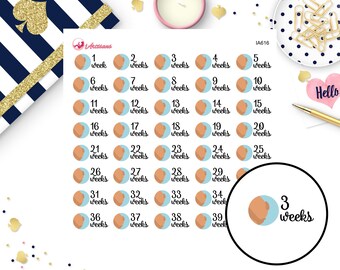 Pregnancy Planner Stickers Printable Milestones Planner