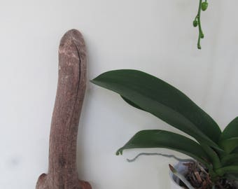 Abstract Driftwood Sculpture - Sea Made Driftwood Art - Drift Wood Beach Decor Driftwood
