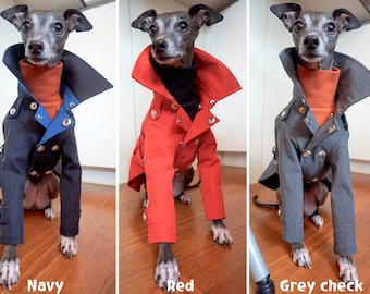 Italian Greyhound apparel;trench coat