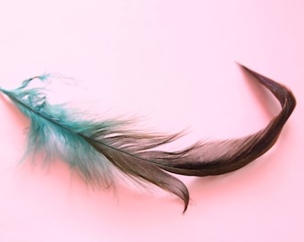 pretty dark blue feathers, between 10 and 15 cm, set of 5