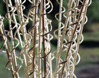 Bleached twigs-Bleached Spirals-19 branches-Vase filler-Wedding decor