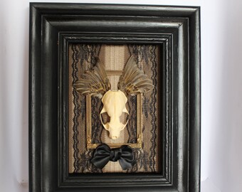 Taxidermy Skull with Wings