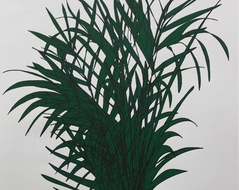 Limited Edition Print: My Plant
