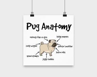 BEST SELLER Pug Anatomy Poster; gift for pug lovers, pug poster, funny pug gift, pug lovers gift, pug dad, pug mom, made in USA
