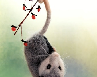 Needle Felted Opossum. Needle Felted Animals. Opossums. Needle Felted Animal. Possums. Needle Felt Opossum Ornament. Needle Felted Possum