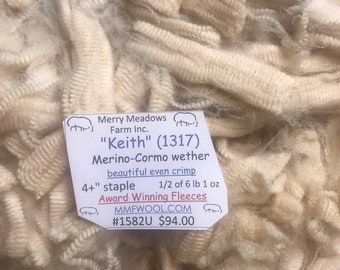 mmfwool 1582U (1/2) 6 lb 1 oz fleece "Keith" Cormo-Merino wether 4+" staple white wool show winner here u shall love this fleece