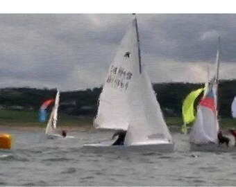 Painting of Small Sailboats Racing BO-8