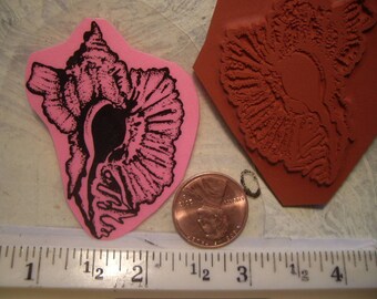 sea shell seashell, a rubber stamp un-mounted scrapbooking rubber stamping