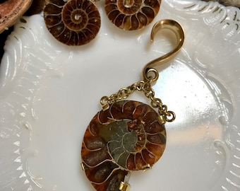 Rootz - Ammonite orecchio pesi, pesi di orecchio, pesi di fossili dell'orecchio, goccia orecchio pesi, ciondola orecchio gancio, calibro orecchino, Orecchini etnici, Bohemian