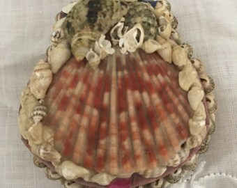 vintage shell trinket box