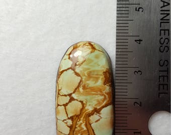 Australian Variscite with vinyl back