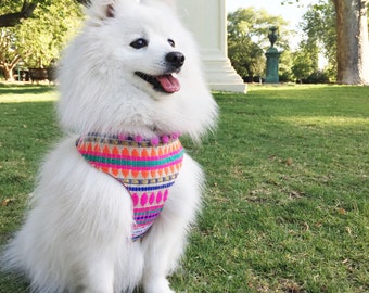 Arriba Mexican Pom Pom Dog Harness