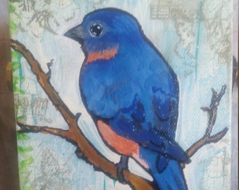 Blue Bird, bluebird
