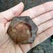 Hexagonal Smokey Quartz Pocket Stone Slab - Brown Pillow Stone - Chakra - Metaphysical - Gift Idea - Wire Wrap - 3 SIZES to CHOOSE (RK203B3)